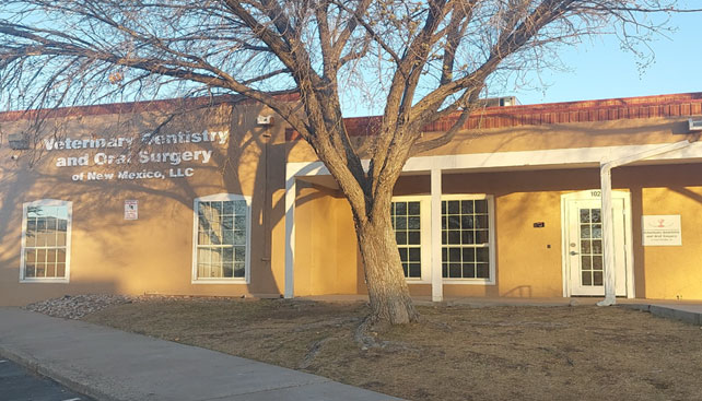 Veterinary Dentist and Oral Surgeon in Albuquerque, NM